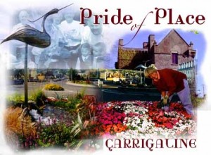 carrigaline