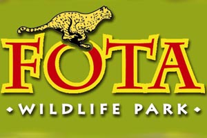 fota wildlife park